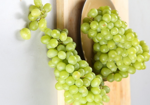 �R�����ѵķNֲ���g(sh��)-ʳ���R�����ѵ�ע�����(xi��ng)