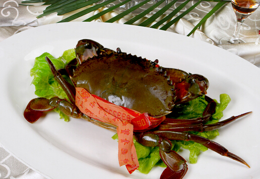 ʳ�����T��з��ע�����-���T��з�ĺ���