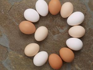 半熟的雞蛋最好不要吃-溏心蛋可以吃嗎？