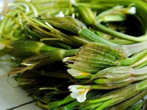 常吃海菜碘會過量嗎？海菜的功效