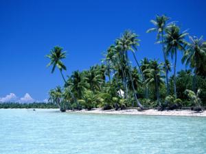 夏天別吃這些食物，小心會體臭！