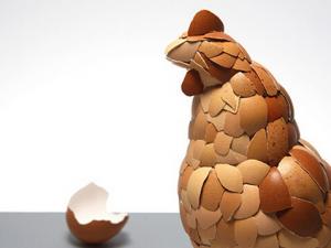 雞蛋養(yǎng)分價值都差未幾-怎么選購新鮮雞蛋?