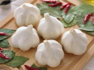 肝病患者、非細菌性腹瀉患者不宜吃大蒜