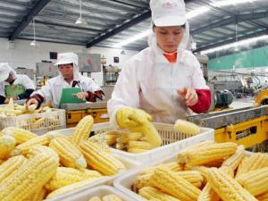 脫脂并不代表真健康-食品工業不為人知的秘密