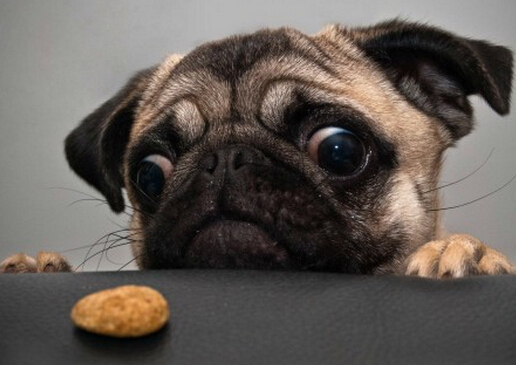 ����ǲ�-��ζ��ζ����ͬ�ĠI�B(y��ng)ȱ��