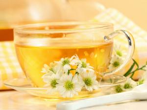 兒童不要喝菊花茶-什么人不可以喝菊花茶?