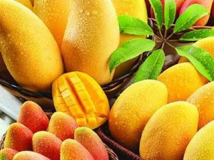 芒果不能和什么食物一起吃？吃芒果有什么禁忌