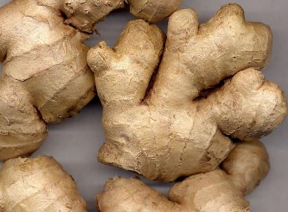 �����}���ĳԽ���ʲô��͵��˲��˳Խ�