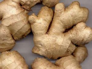 冬吃蘿卜夏吃姜？什么類型的人不宜吃姜