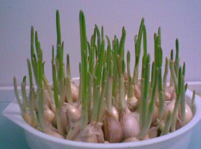 ����lѿ���ܳԆ᣿�������L��ʳ�ô���