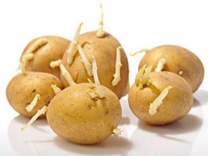 食物不能食用的部位?吃什么會食物中毒