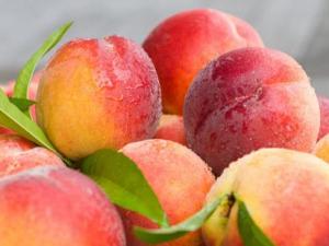 桃子吃多了會怎么樣？桃子吃多了上火嗎