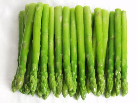 ������x�J�S