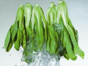 如何選購油菜？油菜的食用禁忌