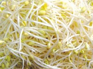 如何挑選黃豆芽?吃黃豆芽的食用禁忌