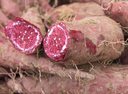 ������x������������ʳ�ý���