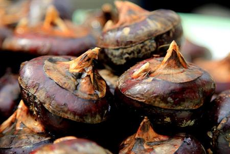 ������xݩ�j����ݩ�j��ʳ�ý���