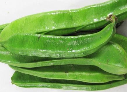 ������x�������Ե�����ʳ�ý���