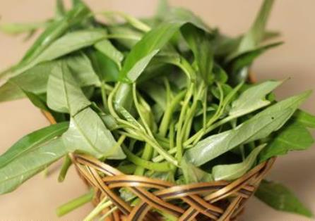 ������x���Ĳˣ��Կ��Ĳ˵�ʳ�ý���