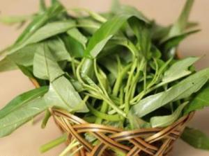 如何挑選空心菜?吃空心菜的食用禁忌