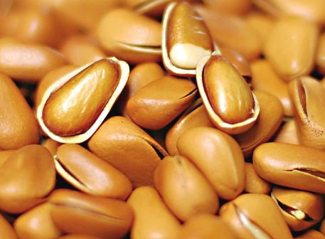 ���Ӻ�ʲô����Ժ��������ӵ�ע�����