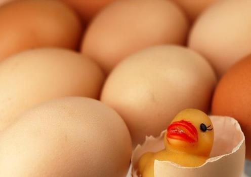 吃了過期的雞蛋會有什么影響嗎?過期的雞蛋是啥樣的?
