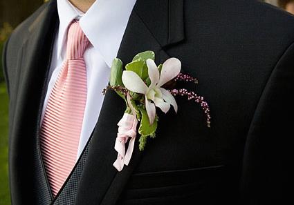 ����x���I�����I���xָُ�ϣ��I�����x�ļ��ɼ�ע�����