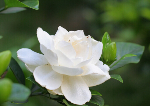 �d�ӻ��ĺ���-�d�ӻ����Lˮ�W����