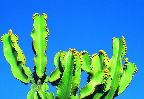 �����ƵĻ��Z-�����Ɣ[�ŵ��Lˮ�v��