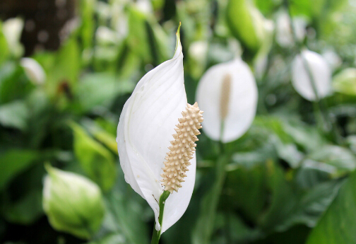 ���Ƶ��Lˮ�W����-�����c�Ҿ��L��Ĵ���