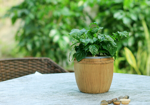 �G�����L(f��ng)ˮ�W(xu��)��(y��ng)��-�G�����B(y��ng)ֳ����