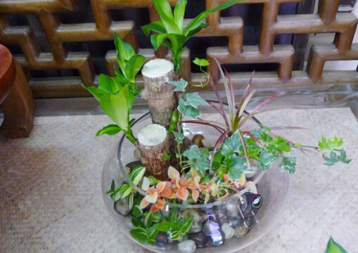 ����ľ���L(f��ng)ˮ�W(xu��)��(y��ng)��-����ľ�ڼҾ��е�����