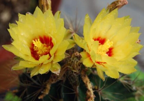 ��������Lˮ�W����-�������ڼҾ��е�����