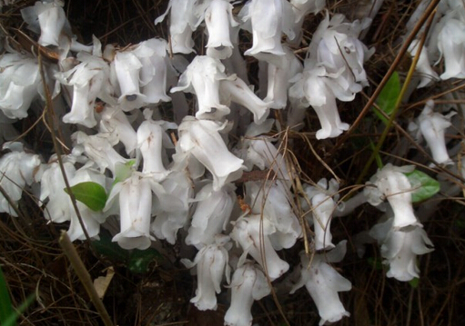 ˮ���m���Lˮ�W����-ˮ���m�ڼҾ��е�����