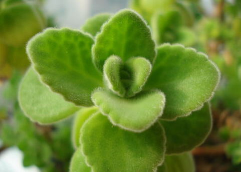 �������c�Ҿ��L��Ĵ���-��������Lˮ�W����