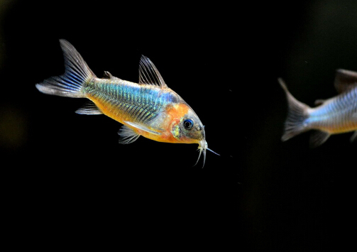 ���~���L(f��ng)ˮ�W(xu��)��(y��ng)��-���~���~�ה[��λ��