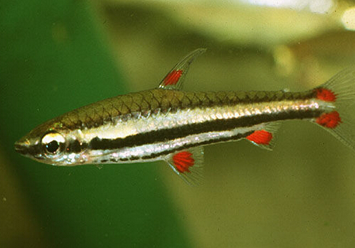 �U�P�~���Lˮ�W����-�U�P�~��Ʒ�N��B