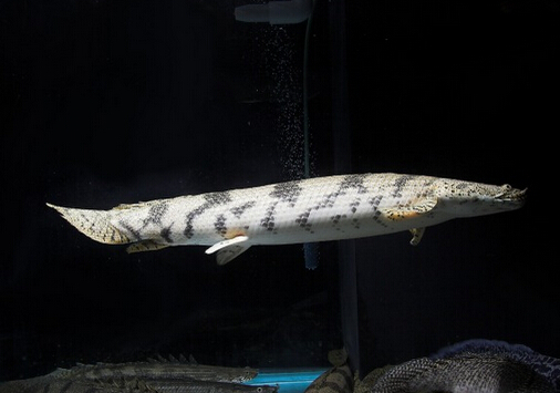 �����~���Lˮ�W����-�����~���~�ה[��λ��