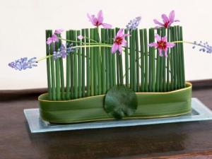 ?除甲醛的方法以及甲醛清除效果大PK