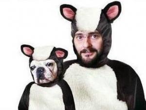 ?二貨是什么意思?2貨/2b/二逼/二楞子的來源