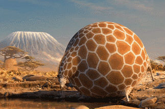 每個胖子都是潛力股是什么意思?永遠不要嘲笑一個胖子 減肥變男神女神