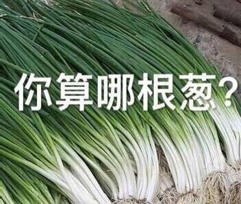 你算哪塊小餅干是什么意思什么梗?賣萌式罵人懟人斗圖表情包分享