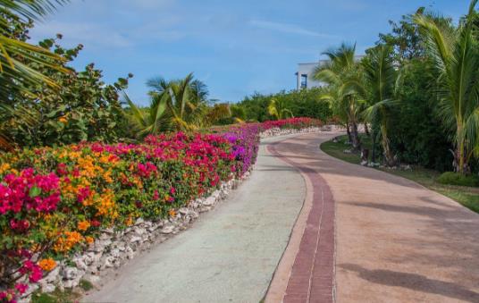 走鉆石路是什么意思什么梗?完整說法:花路太擁擠了,走鉆石路吧