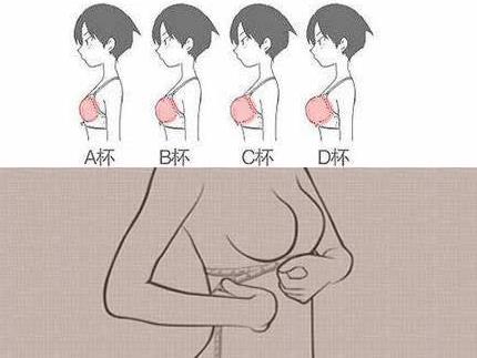 �ֱ���ʲô��˼���ֱ�abcdefg��ô�ִ�С�DƬ�������ֱ��ߴ猦(du��)�ձ�