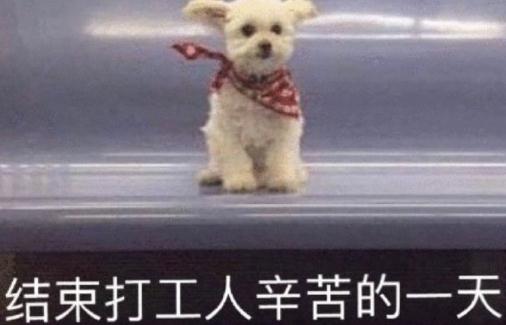 ddys網絡語什么意思 ddys什么梗