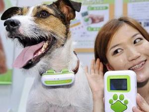 ���Z�ܷ��g����Ԓ�����Z���g�C�W�ϟ��u�����Z���g�C���Æ�