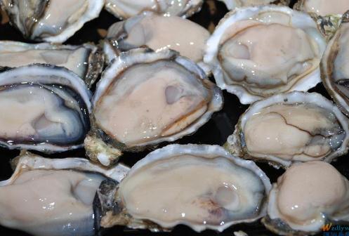 牡蠣如何清洗?牡蠣的清洗方法,食用牡蠣的注意事項