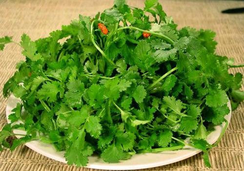 為什么有人不喜歡吃香菜？哪些人不能吃香菜