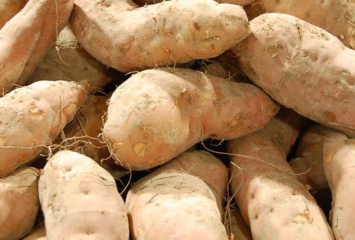 紅薯營養豐富,但屬于堿性食物,吃多了會“燒心”