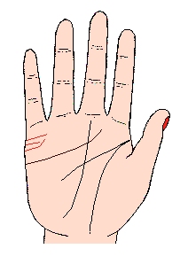 婚姻線圖解：手相婚姻線算命圖解